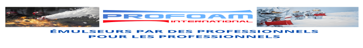 PROFOAM INTERNATIONAL