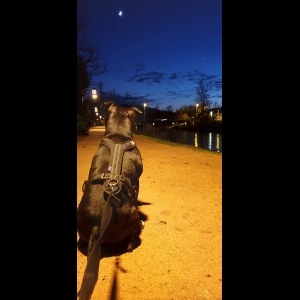 Sergent-Chef Bourdier  Jean-christophe 