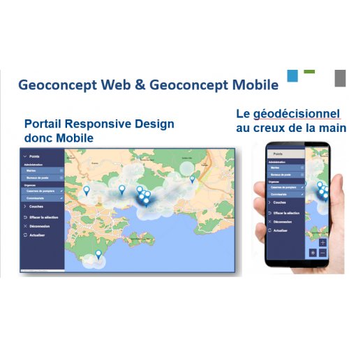 GEOCONCEPT WEB