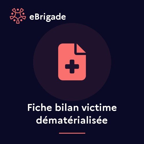 Fiche bilan victime dématérialisée