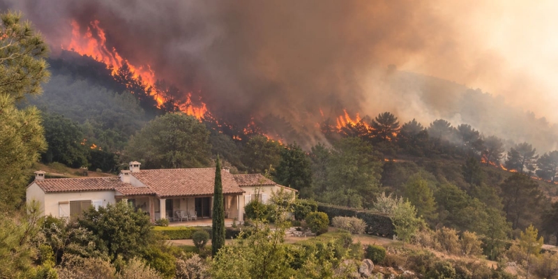 Comment protéger efficacement son habitation contre les feux de forêt ?