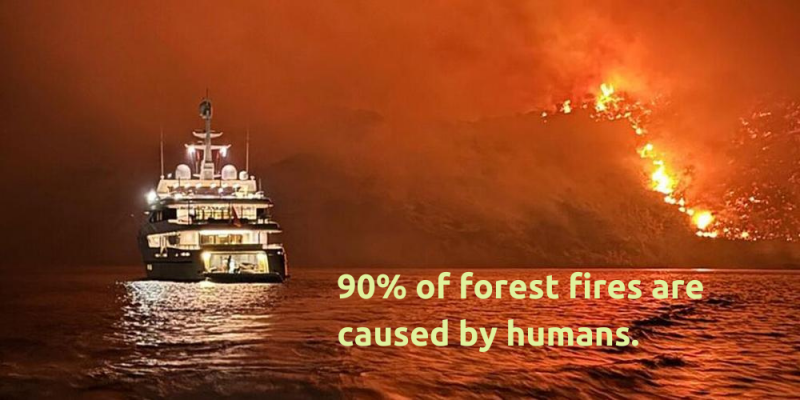 NOUS SOMMES TOUS RESPONSABLES DE LA FORÊT. 📢 