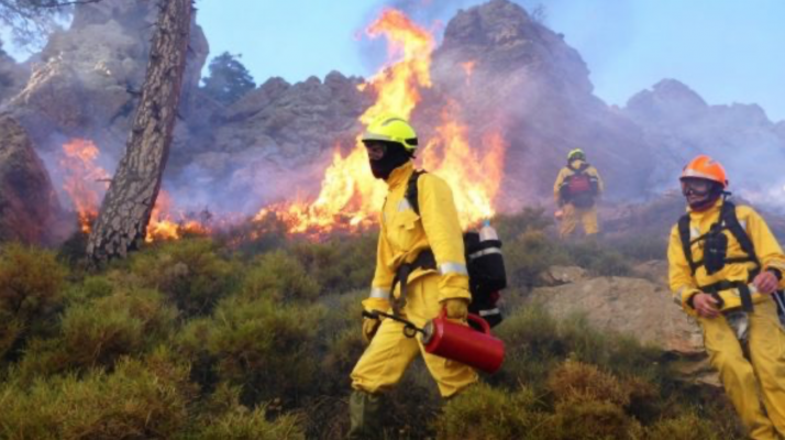 Torche d'allumage pour contre-feu Drip Torche