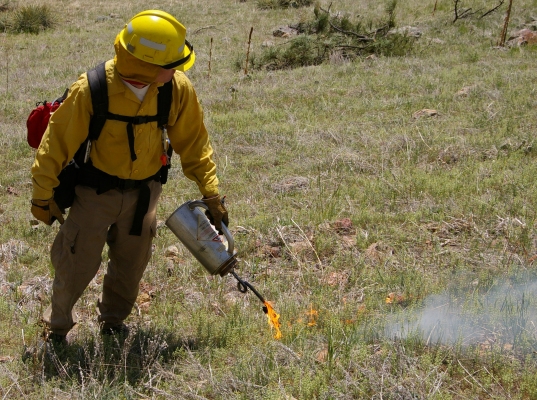 Torche d'égouttement 5L SURESEAL DRIP TORCH