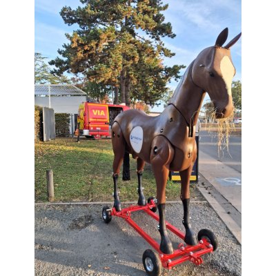 MANNEQUIN CHEVAL RESQUIP
